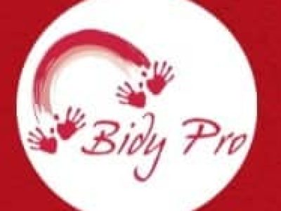 Bidy Pro